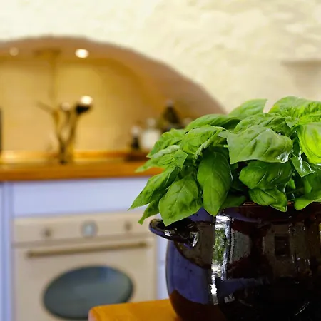 Trullo Domus Laeta Locorotondo